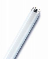 Лампа люминесцентная L 36W/865 LUMILUX 36Вт T8 6500К G13 смол. OSRAM 4008321581433