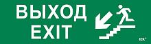 Этикетка самоклеящаяся 310х90мм "Выход/лестница вниз/фигура" IEK LPC10-1-31-09-VLVNF