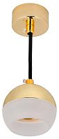 Светильник 4012 подвесной под лампу GX53 золото IEK LT-UCB0-4012-GX53-1-K22