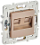 Розетка компьютерная двойн. RJ45 кат.6 SKANDY SK-K04Sa песочн. IEK SK-K20-2-K98