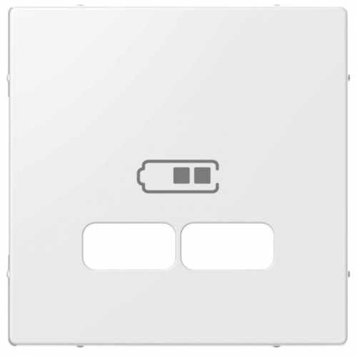 Накладка центральная Merten для механизма USB 2.1А SM полярный бел. SchE MTN4367-0319