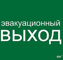 Этикетка самоклеящаяся 310х280мм "Эвакуационный выход" IEK LPC10-1-31-28-EVV